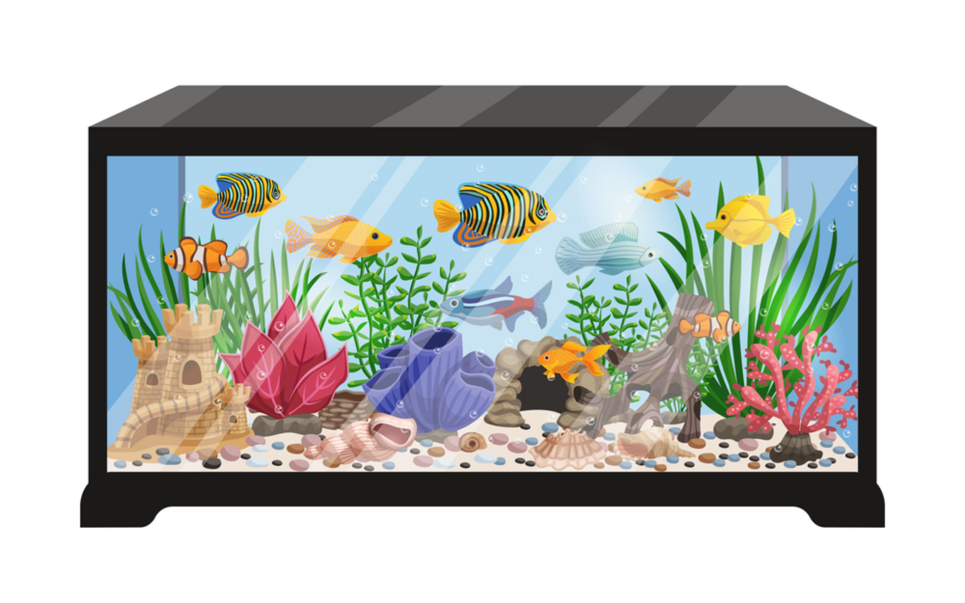 Read more about the article How to Move Snails From One Tank to Another: A Comprehensive Guide