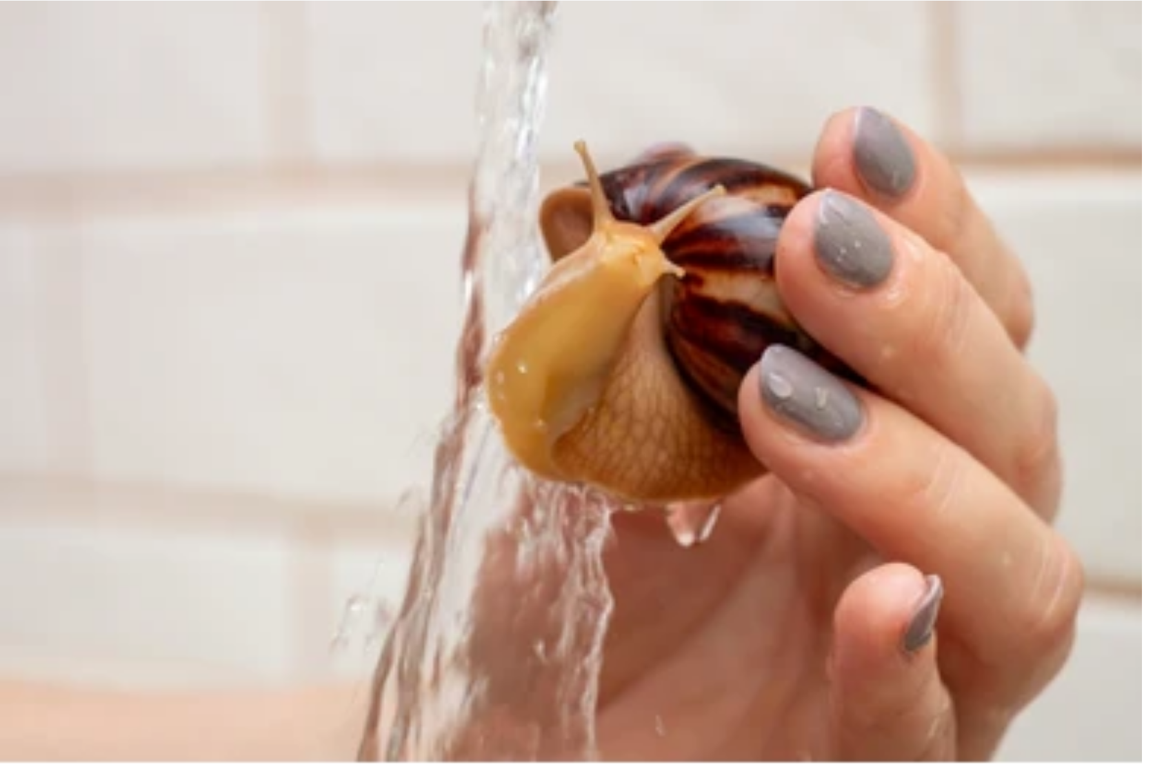 Will Tap Water Kill Snails