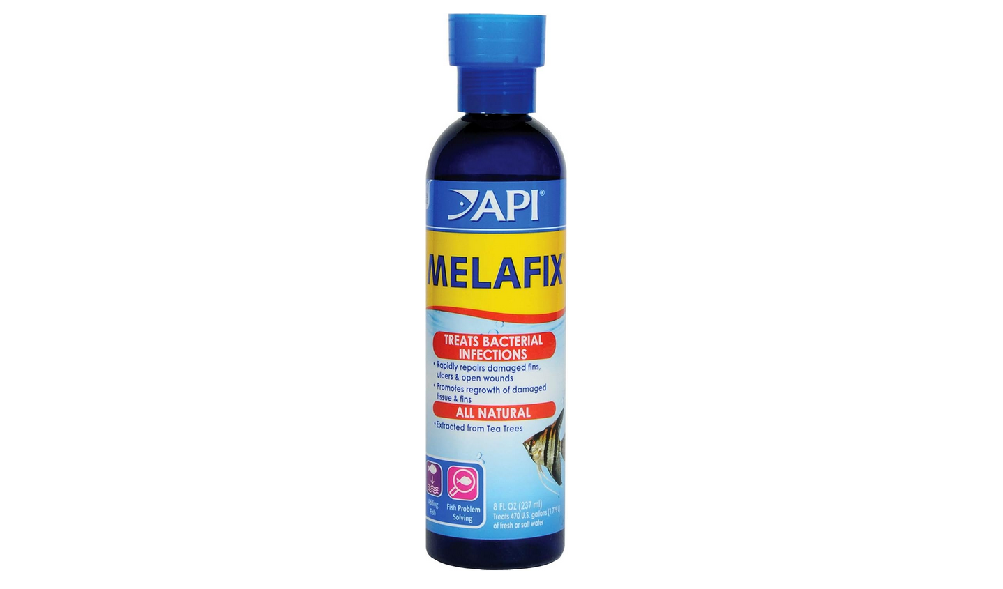 Read more about the article API MELAFIX Review: Can You Use MELAFIX With Snails? 