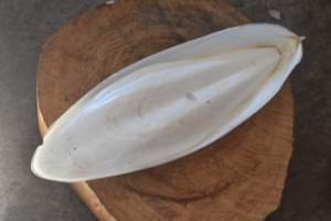 Read more about the article Best Cuttlebone for Snails: Preparing and Using the Ideal Calcium Source